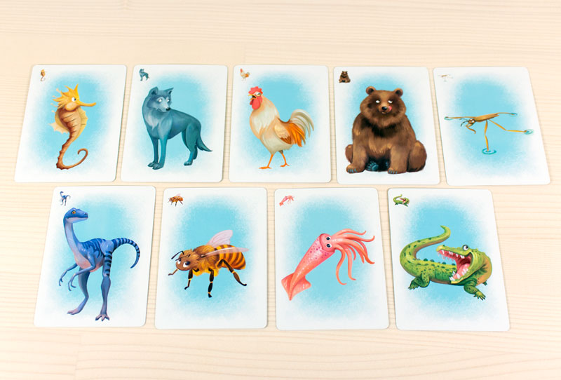 動物カード